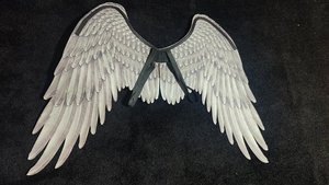 Photo of free Black Cosplay Costume Angel Wings (Springfield Union Station)
