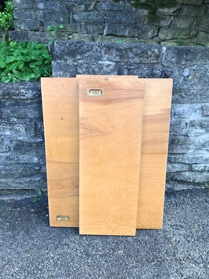 Photo of free Birch ‘door’ panels (Downers Grove, south side)