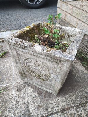 Photo of free 2 Stone Plant Pots (Bagslate Moor OL11)