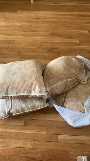 Photo of free Down sofa pillows (New Hyde Park, Long Island)