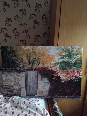 Photo of free Wall canvas (Bracknell RG42)