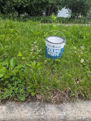 Photo of free Old white ceiling paint (Highlands in State College)