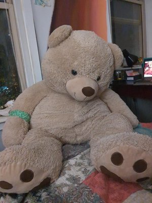 Photo of free Giant teddy bear (North Philly. ~Brewerytown)