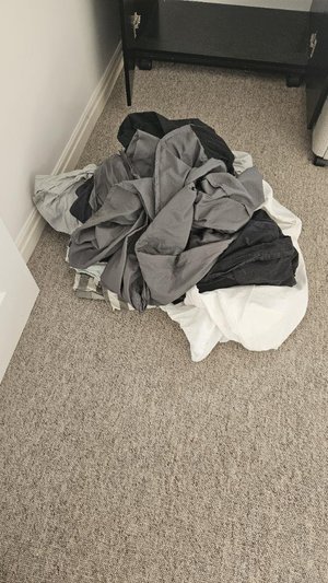 Photo of free Bedding - duvets, pillows, sheets (CW5)