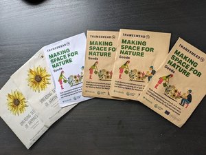 Photo of free Seeds (Thamesmead South)