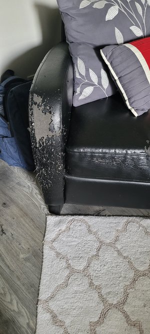 Photo of free Cat scratched chair (King st east kitchener)