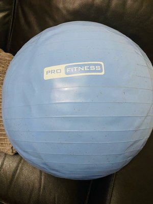 Photo of free Exercise Ball (Prestonpans EH32)