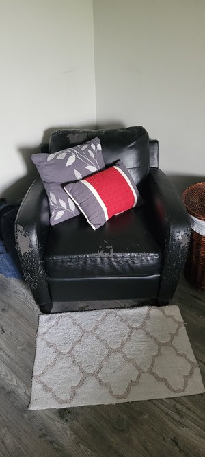 Photo of free Cat scratched chair (King st east kitchener)