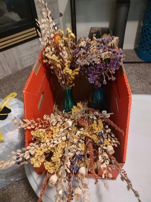 Photo of free Dried Flowers (Moscow)