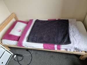 Photo of free Single Bed (E14)