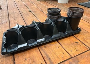 Photo of free starter plant pots and tray (Mississauga/ Streetsville)