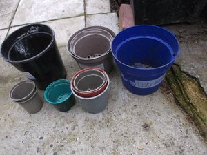 Photo of free plant pots (Bournes Green SS2)
