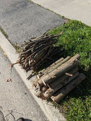 Photo of free Firewood ready for May 24 weekend (Old Oakville - Lakeshore/Kerr)