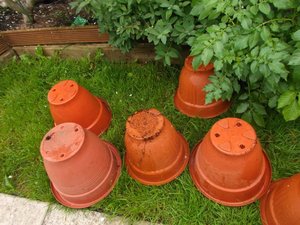 Photo of free large plant pots (Bournes Green SS2)