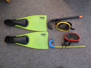 Photo of free Snorkels, masks and flippers (Fareham PO15)