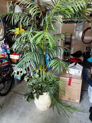 Photo of free Faux tree (Aldie)