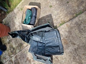 Photo of free Strawberry and veg grow bags (Orpington BR6)