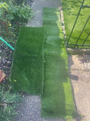 Photo of free Grass (Gillingham ME7)