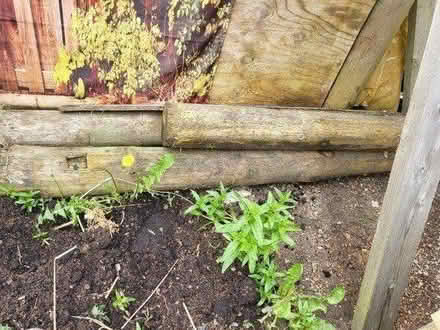 Photo of free Large wooden fence posts/poles (Houghton le spring)