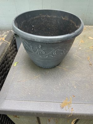 Photo of free Decorative Plastic Flower Pot (Whitehouse Station)