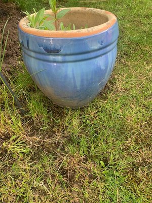 Photo of free Spade 3 pots (Coventry CV6)