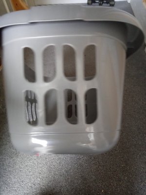Photo of free Washing basket (Colchester CO4)
