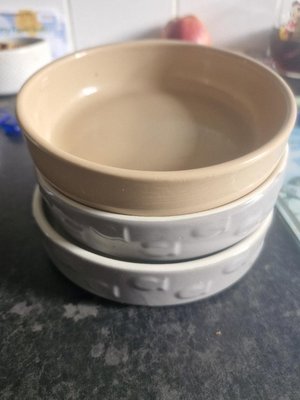 Photo of free Kitten bowls (SL9)