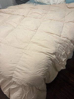 Photo of free Full/queen size down comforter (East Boston)