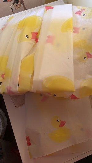 Photo of free Rubber duck shower curtain (SL6 Taplow)