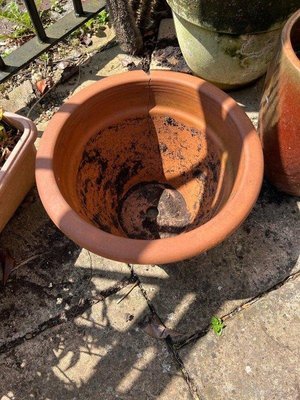 Photo of free Terracotta pot (Great Park NE3)