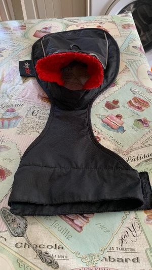 Photo of free Small dog coat (Chelmsford CM1)