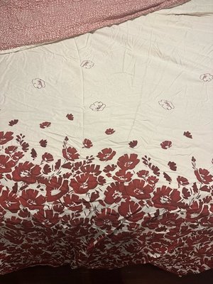 Photo of free Queen duvet cover (East Boston)