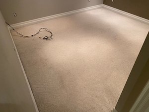 Photo of free Burbur rug from basement (Bathurst and College)