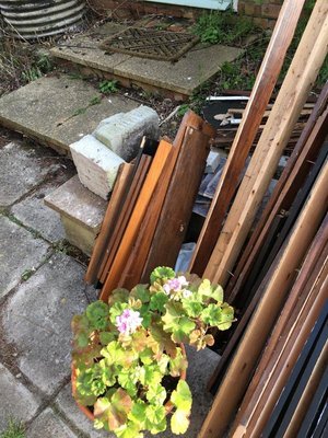 Photo of free Various lengths of wood (North Walsham NR28)