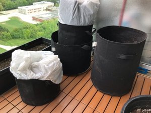 Photo of free GROW BAGS with dirt (Mississauga Central)