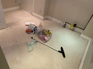 Photo of free Burbur rug from basement (Bathurst and College)