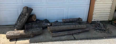 Photo of free Firewood: logs, branches, assorted (St. Louis-Southampton)