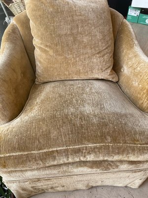 Photo of free Upholstered velvet chair (Hollywood rivera)
