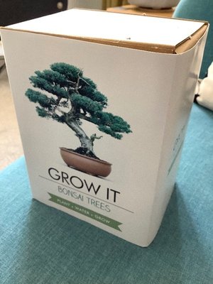 Photo of free Bonsai growing kit (Larkhall)