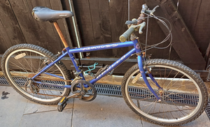 Photo of free Blue Mountain Bike (New Eltham SE93)
