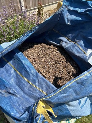 Photo of free Wood chippings (CT1)