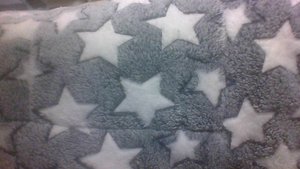 Photo of free vet fleeces quilt and cushion (BA2)