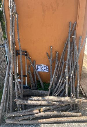 Photo of free Logs, branches, assorted (St. Louis-Southampton)
