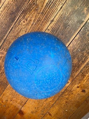 Photo of free Boomer dog ball (Jordanhill G13)