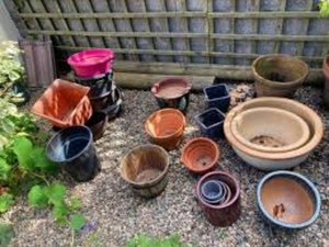 Photo of plastic plant pots (Newmarket)