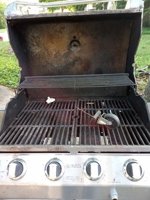 Photo of free propane grill (Westland)