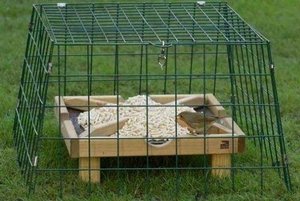 Photo of free Bird feeding sanctuary (Dunton Green)