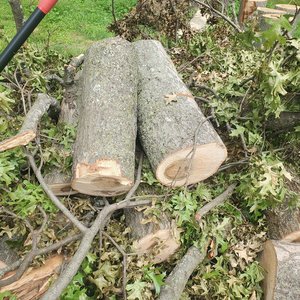 Photo of free Oak Firewood, ready to split (Spanish Lake 63138)