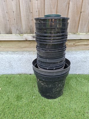 Photo of free plant pots (SS9 Leigh-on-Sea)