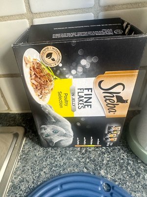 Photo of free Mixed wet cat food (N11)